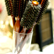 With nylon and boar blistles. The blistle will polish and condition the hair while gently dry.
